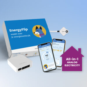 EnergyFlip all in 1 analog electricity